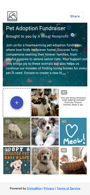 Fundraising Games Demo - Great Reveal